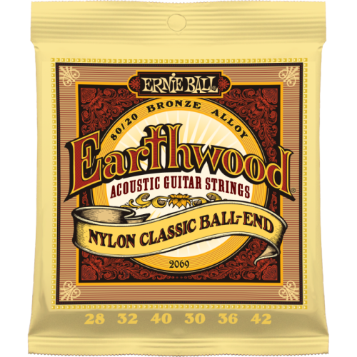 ERNIE BALL P02069